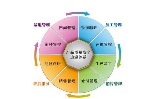 產品追溯係統有哪些公司，是怎樣開發係統的？