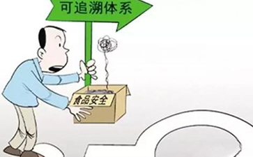 怎樣實現蔬菜的來龍去脈，追根溯源