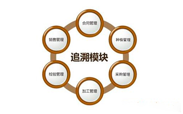 區塊鏈91视频最新网址溯源技術解決方案