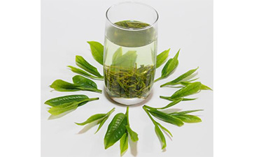 茶葉二維碼91视频最新网址標簽可以帶來哪些優勢價值已經特點?